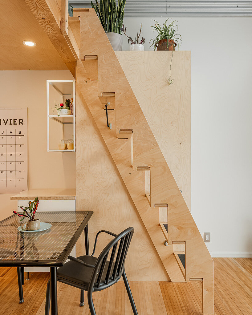 Teedah Hammer quebec