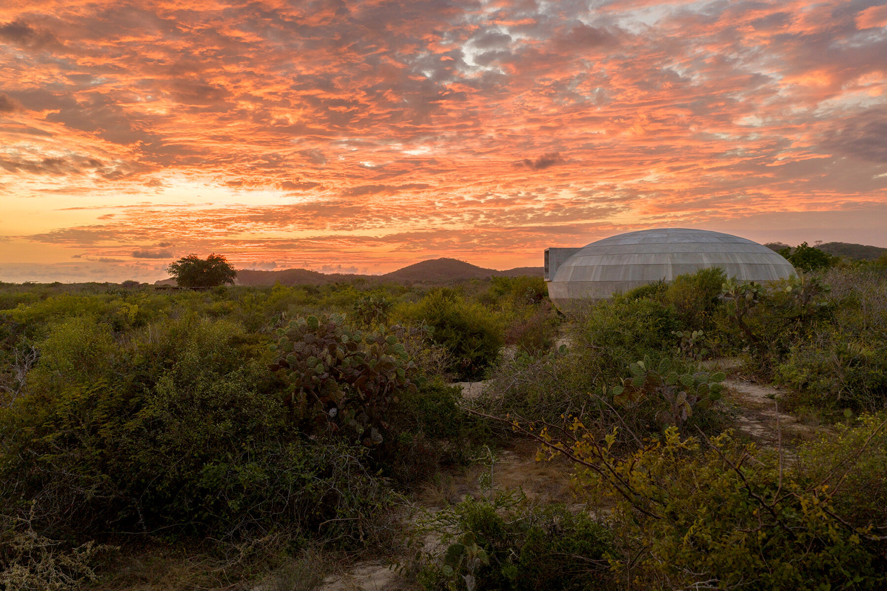 OMA-casa-wabi-mushroom-pavilion-shohei-shigematsu-mexico-designboom-08a