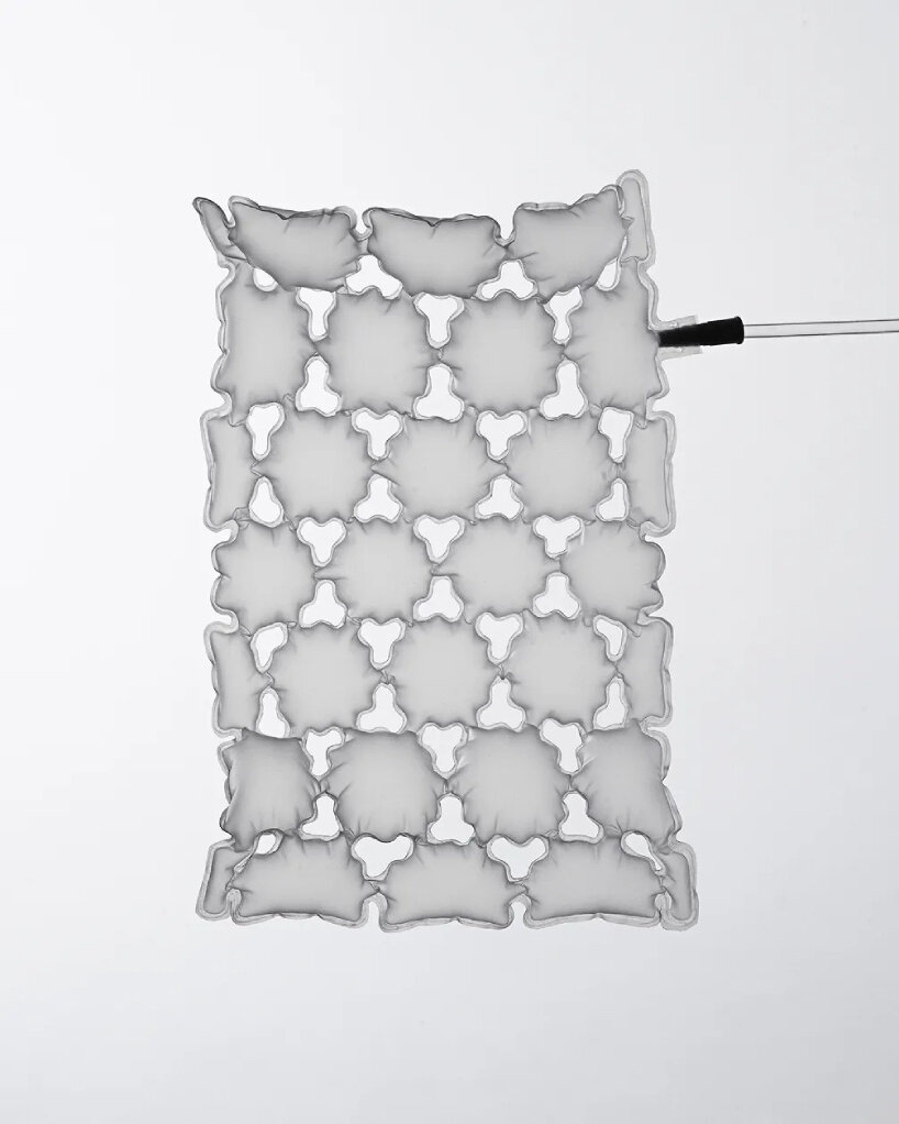 it uses parametric tessellation patterns drawn from biological systems to create inflatable structures