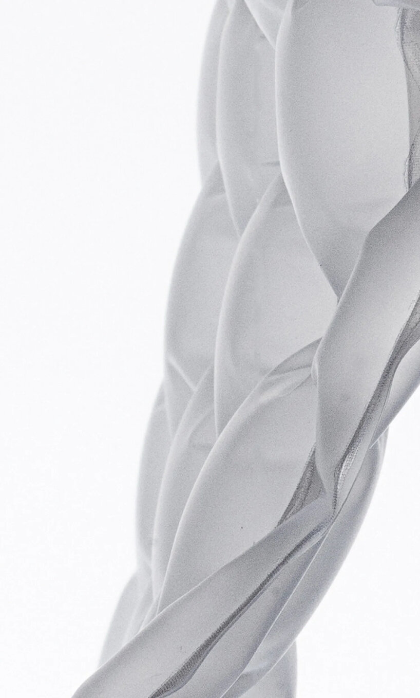 detailed view of ARA