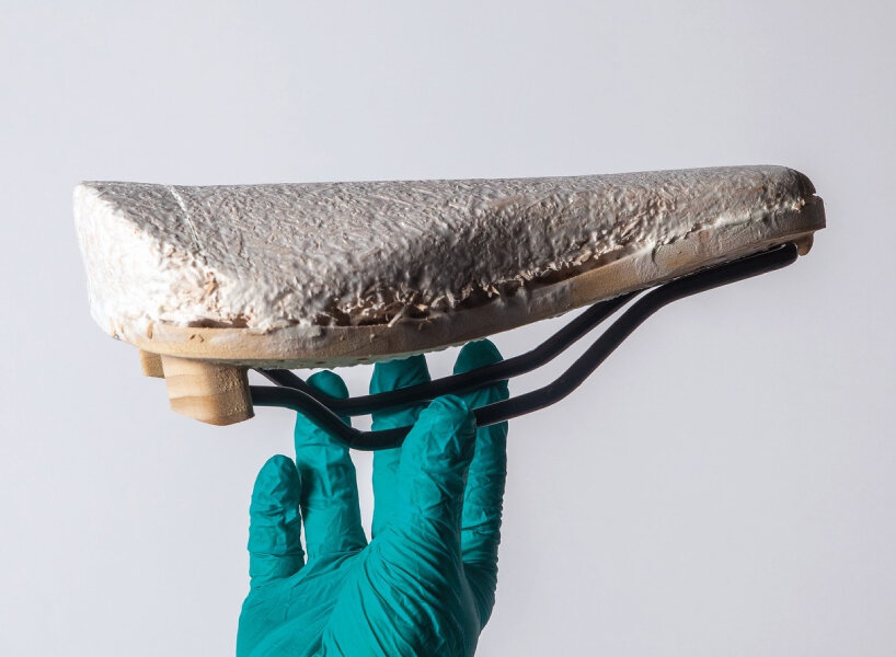 compostable wooden bicycle seat