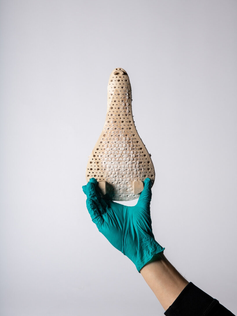 compostable wooden bicycle seat