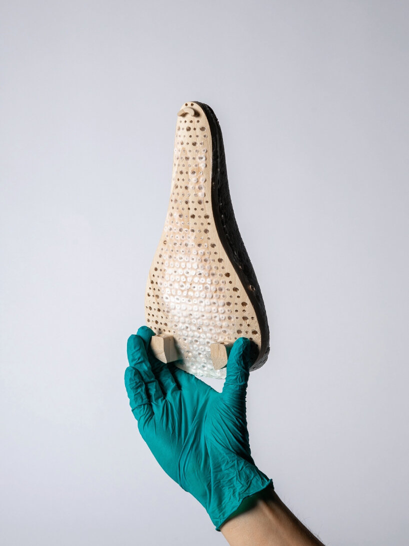 compostable wooden bicycle seat