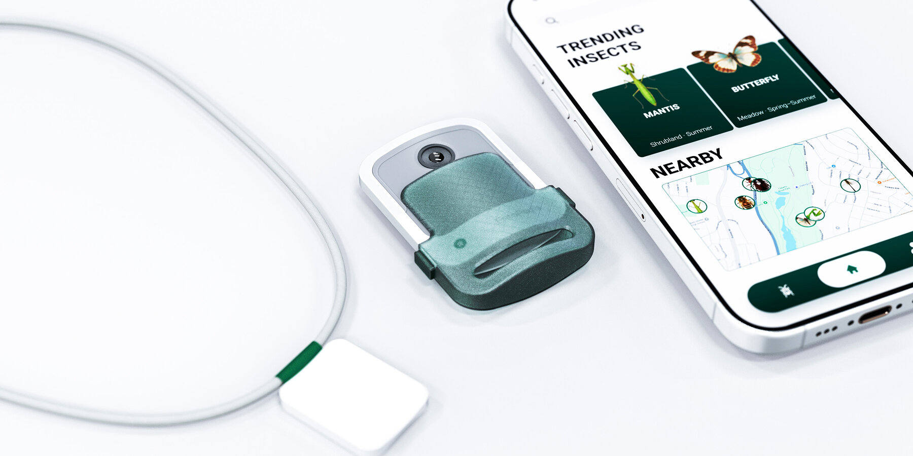 entopedia-magnetic-camera-pendant-insect-encounters-digital-specimens-junfei-teng-designboom-1800-2