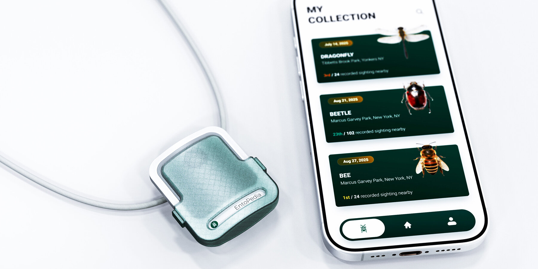 entopedia-magnetic-camera-pendant-insect-encounters-digital-specimens-junfei-teng-designboom-1800-3