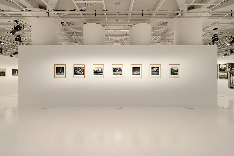 'this is freedom': yorgos lanthimos on photography beyond cinema - 6