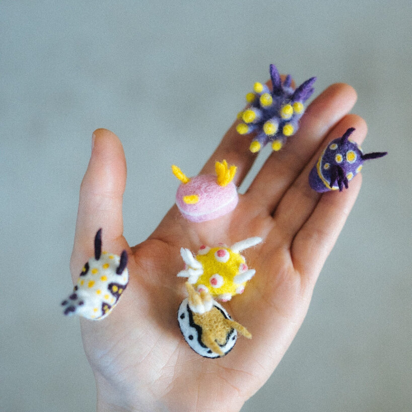 felted sheep wool nudibranchs