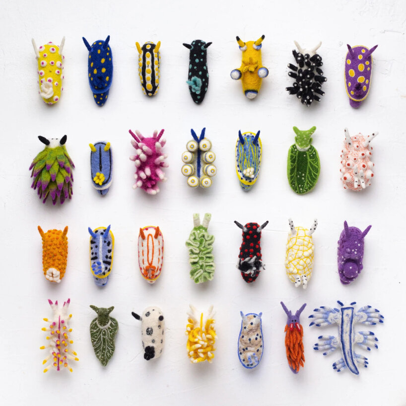 felted sheep wool nudibranchs