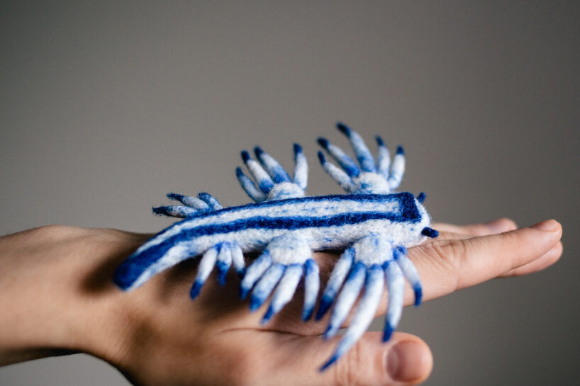 felted sheep wool nudibranchs