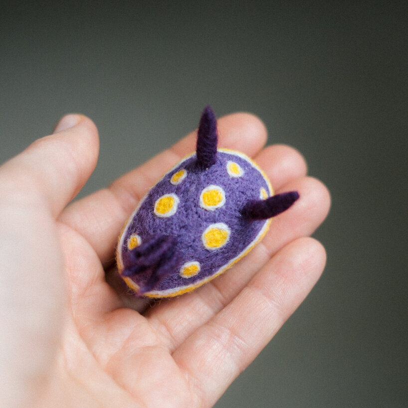 felted sheep wool nudibranchs