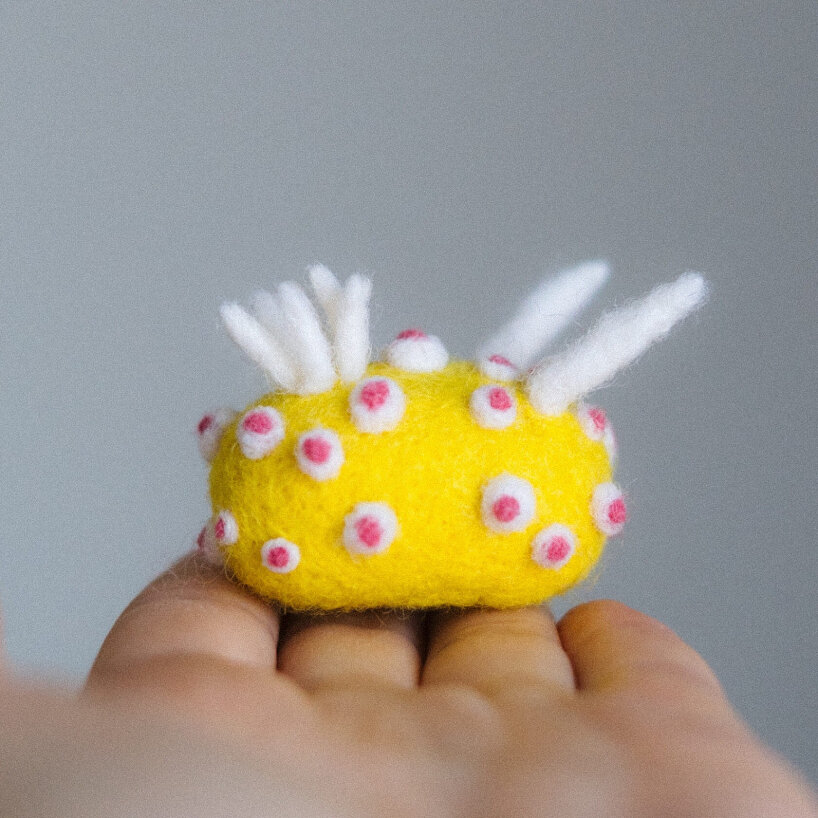 felted sheep wool nudibranchs