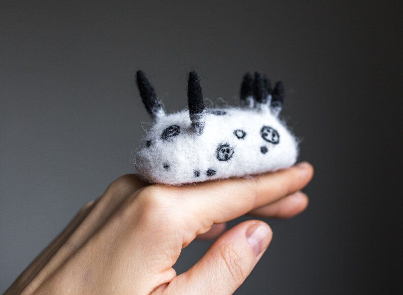 felted sheep wool nudibranchs