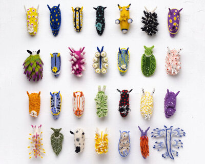hand-felted sheep wool forms the library of vibrant nudibranchs depicting marine life
