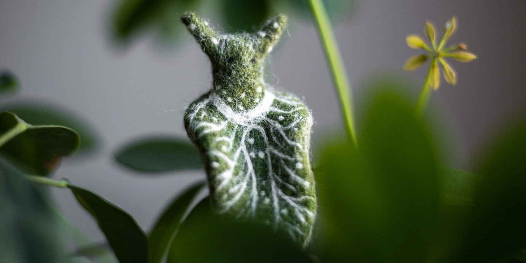 hand-felted-sheep-wool-nudibranchs-marine-life-arina-bo-designboom-ban