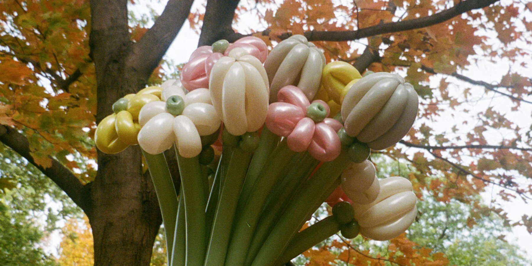 handcrafted-latex-balloons-biodegradable-bouquet-garden-flowers-ballooms-designboom-ban