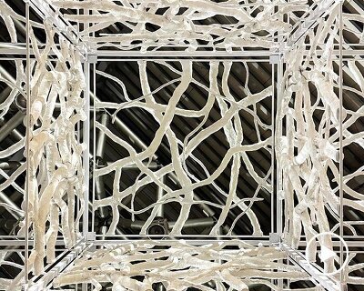 recycled paper waste turns into a branch-like lattice in a living spatial installation
