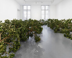 paola pivi imagines a living cosmos grown from lemon trees at perrotin paris exhibition