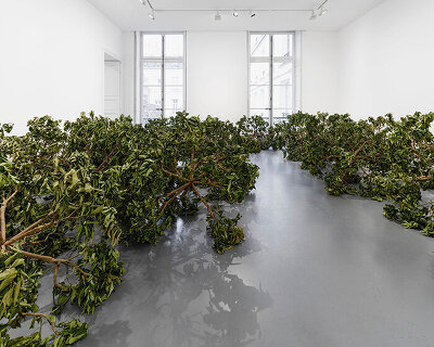 paola pivi imagines a living cosmos grown from lemon trees at perrotin paris exhibition
