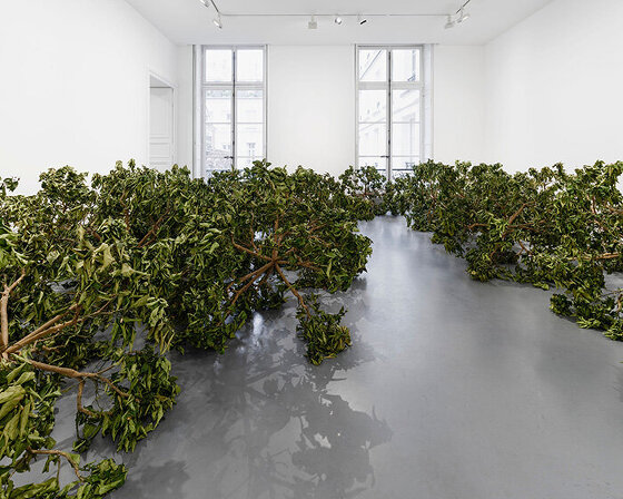 paola pivi imagines a living cosmos grown from lemon trees at perrotin paris exhibition