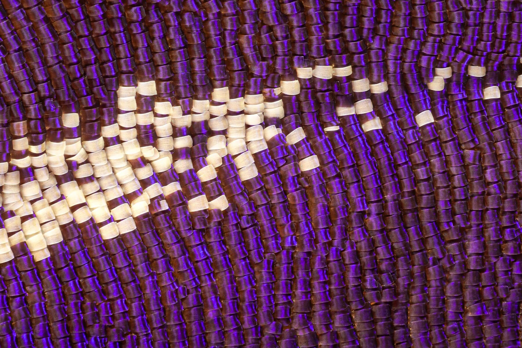 photographer-chris-perani-insect-wings-macro-portraits-series-designboom-1800-4