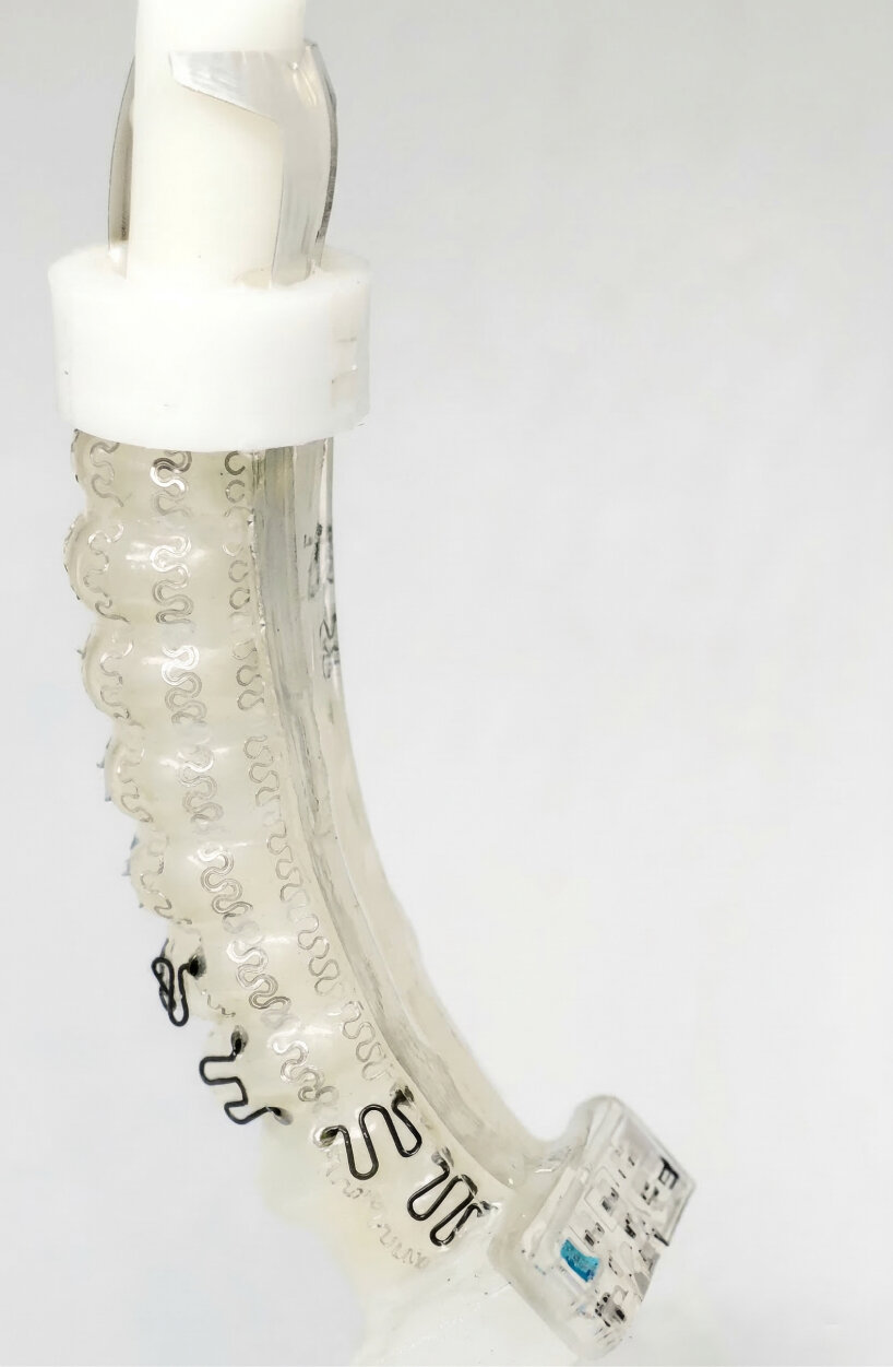 soft robotic fingers