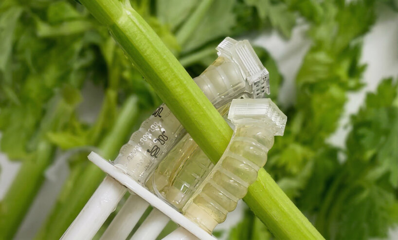 the device can grip objects, as shown in the image