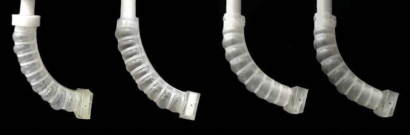 view of the decomposition over time