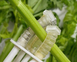 stretchable robotic fingers for surgery decompose in soil and become fertilizer