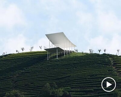 studio RE+N's floating pavilion hovers like a thin white wing above chinese tea mountain