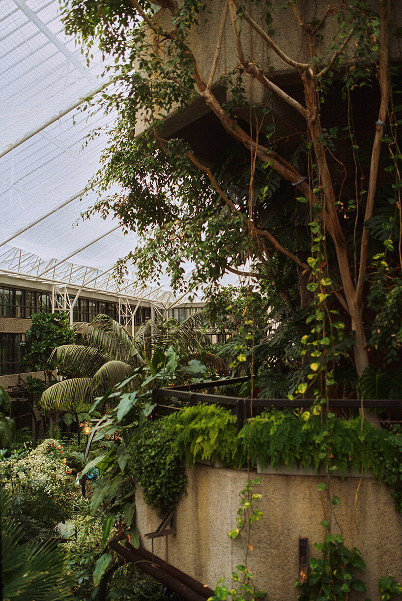 david altrath documents the jungle suspended inside london's barbican conservatory - 11