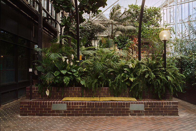david altrath documents the jungle suspended inside london's barbican conservatory - 6