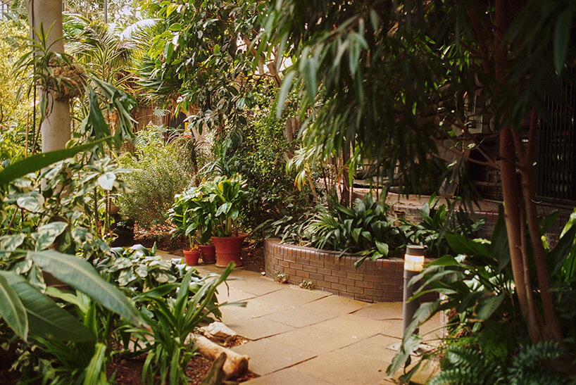 david altrath documents the jungle suspended inside london's barbican conservatory - 7