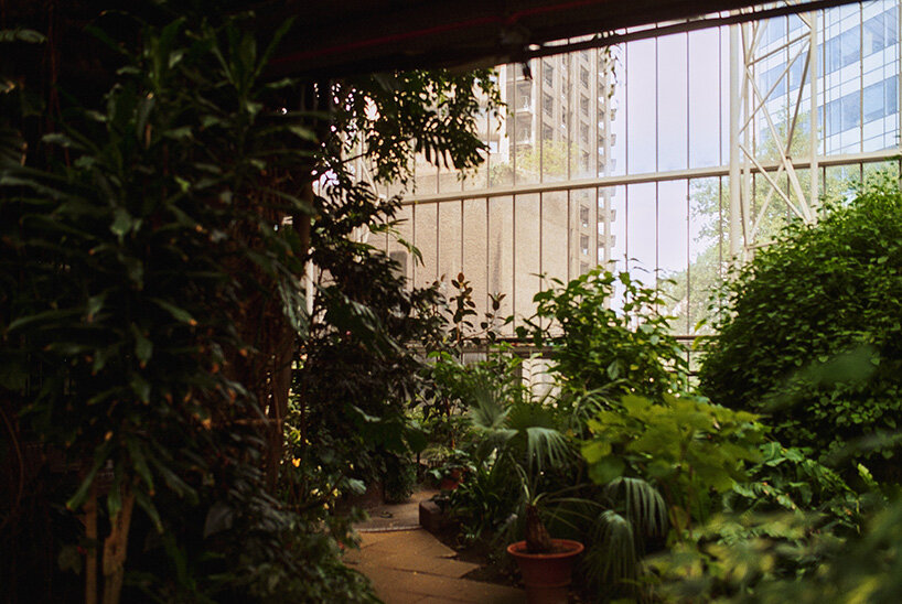 david altrath documents the jungle suspended inside london's barbican conservatory - 13