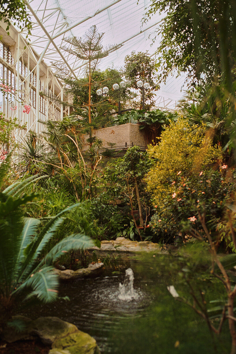 david altrath documents the jungle suspended inside london's barbican conservatory - 8