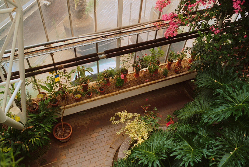 david altrath documents the jungle suspended inside london's barbican conservatory - 9