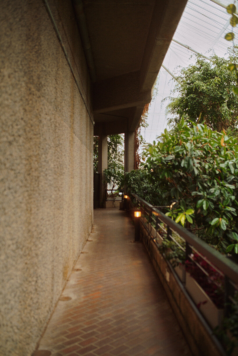 david altrath documents the jungle suspended inside london's barbican conservatory - 12