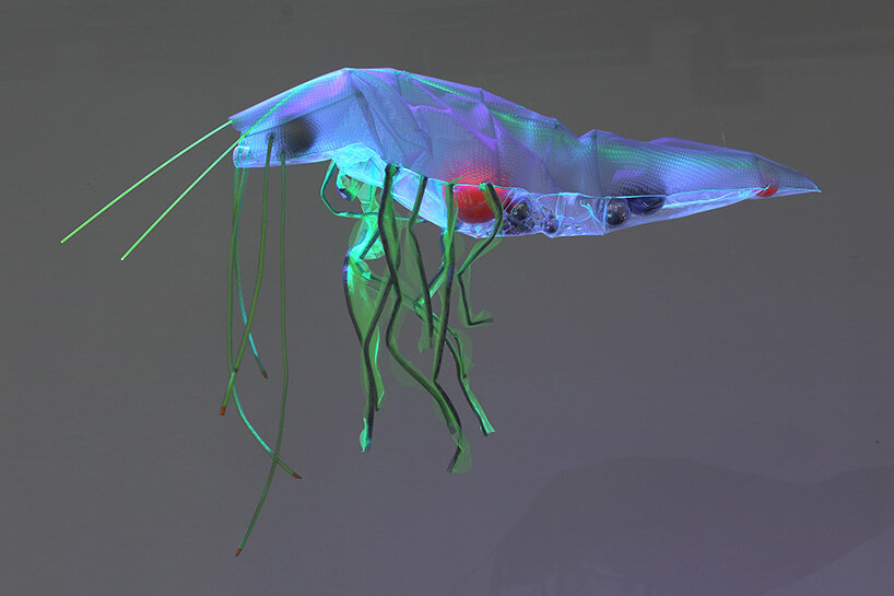designboom's ultimate guide to the venice art biennale 2026 - 76