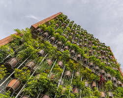 lush facade of potted plants screens this vietnamese residence by H&P architects