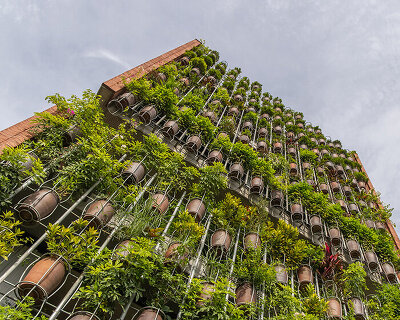lush facade of potted plants screens this vietnamese residence by H&P architects