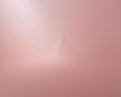 the anatomy of a daydream: how jeeyoung lee builds her ephemeral inner worlds