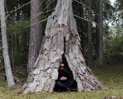 a hut of spruce bark by ulf mejergren grows around a living tree in sweden