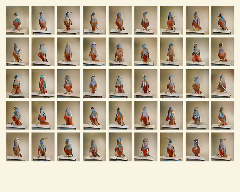 weronika gęsicka questions factual truth sources with unique encyclopaedia of fake entries - 4