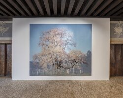 in venice, ukrainian artists reclaim joy with tender force