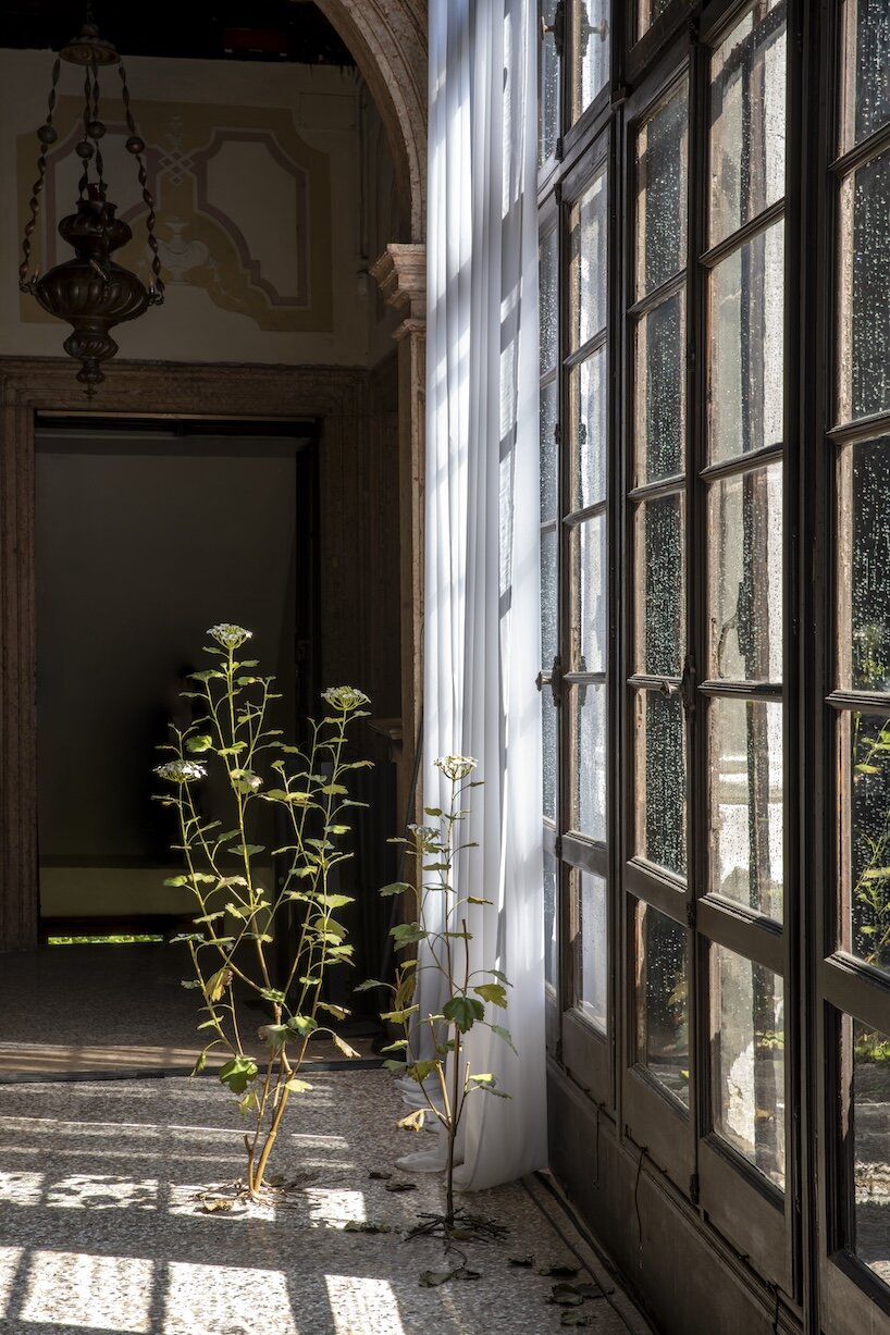 in venice, ukrainian artists reclaim joy with tender force - 5