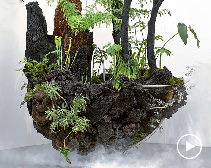 OF A’s dark botanical landscape 'slow dream' seems to float at chelsea flower show
