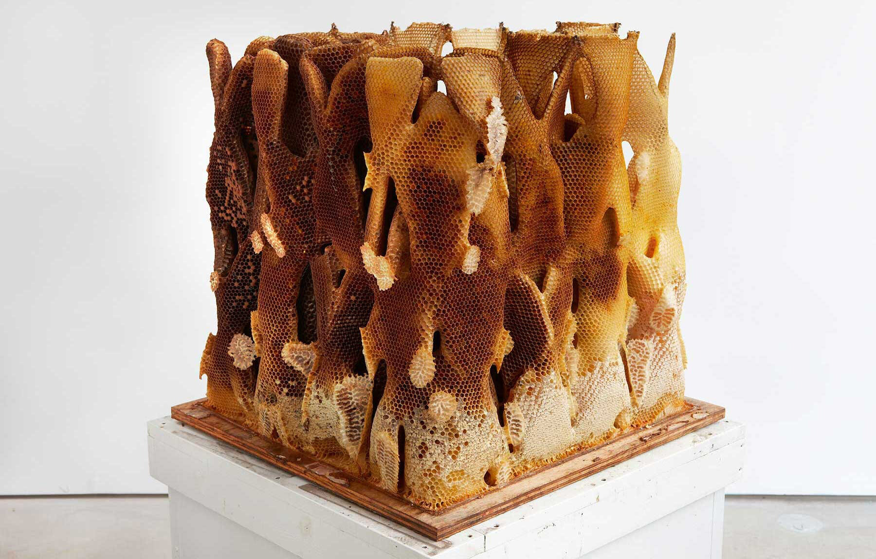 artists-collaborating-bees-honeycomb-sculpture-radical-softness-designboom-06a