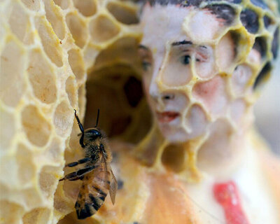 when bees become collaborators, artists learn to make by listening