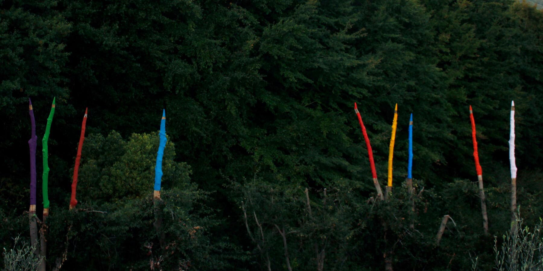deus-sive-natura-god-nature-land-art-installation-24-sculpted-trees-colored-pencils-strijdom-van-der-merwe-designboom-1800-3