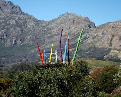 24 sculpted trees become giant colored pencils in south african land art installation
