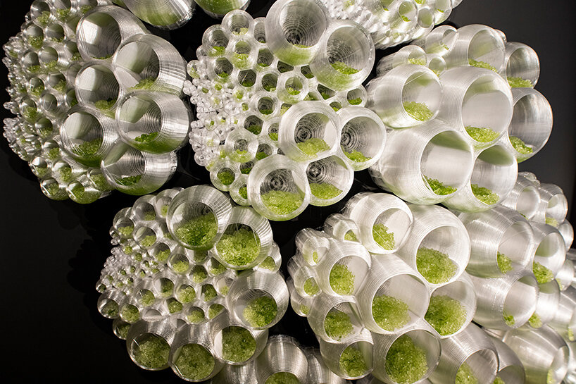 ecologicstudio